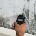 Mold and Air Quality Testing: What You Need to Know