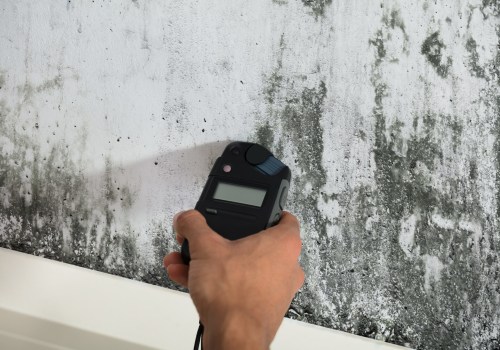 Mold and Air Quality Testing: What You Need to Know